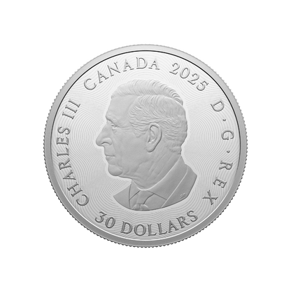 Zodiac Signs 2 Oz Fine Silver Coin Canada 2025