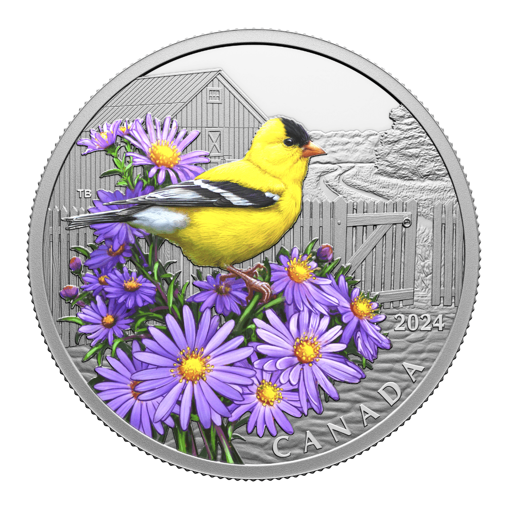 AMERICAN GOLDFINCH Colourful Birds 1 Oz Silver Coin $20 Canada 2024 - PARTHAVA COIN