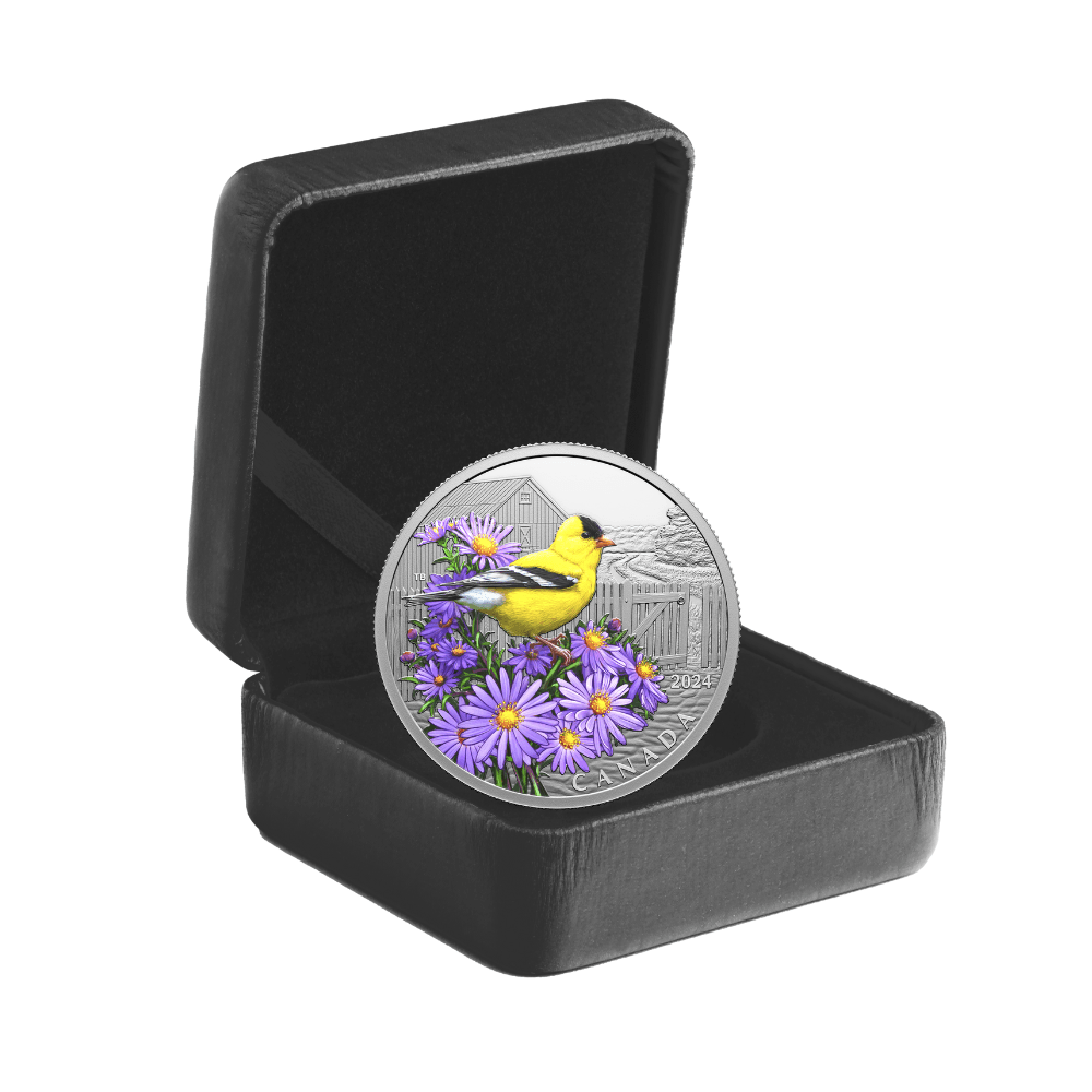 AMERICAN GOLDFINCH Colourful Birds 1 Oz Silver Coin $20 Canada 2024 - PARTHAVA COIN