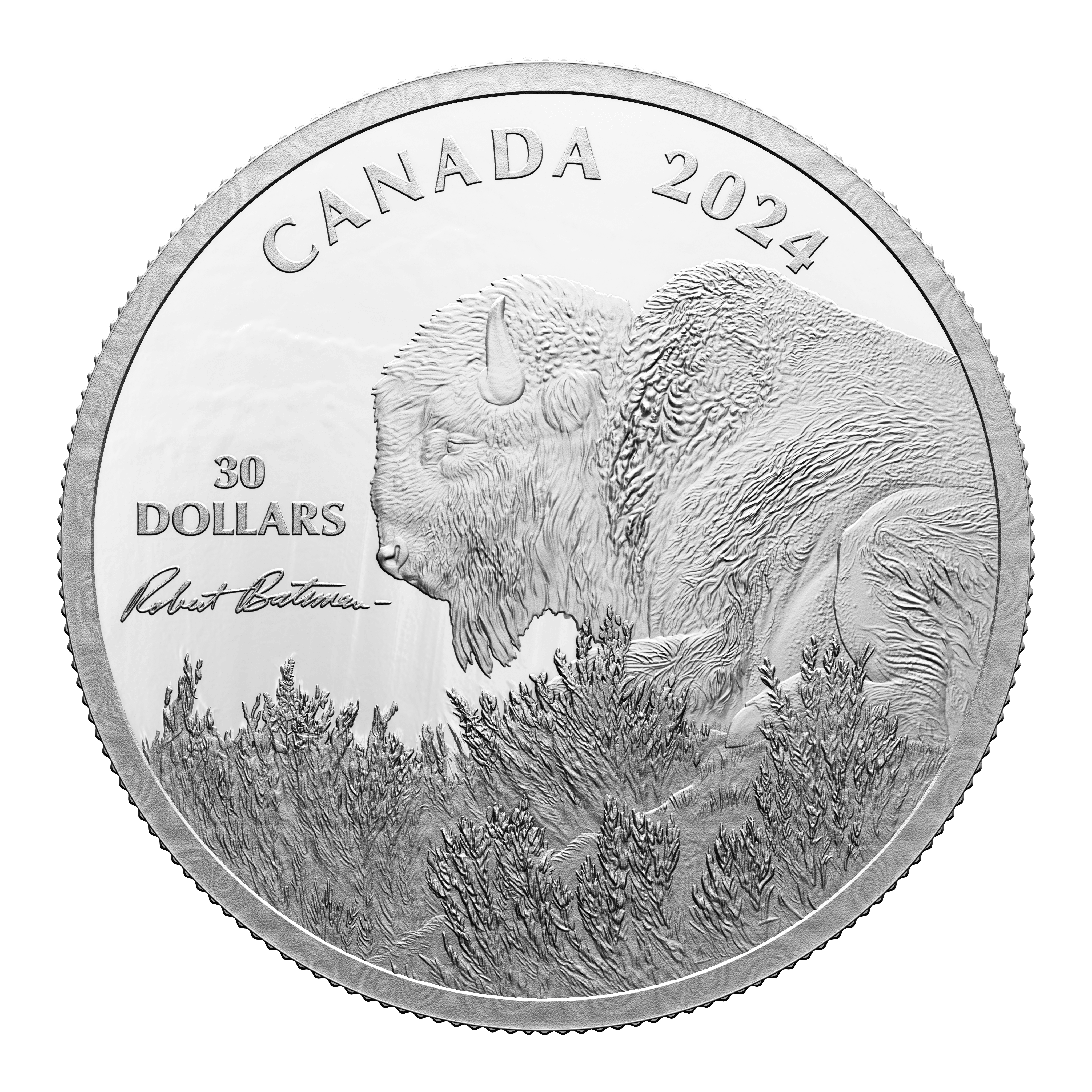 BISON Weather Watch Silver Coin $30 Canada 2024 - PARTHAVA COIN