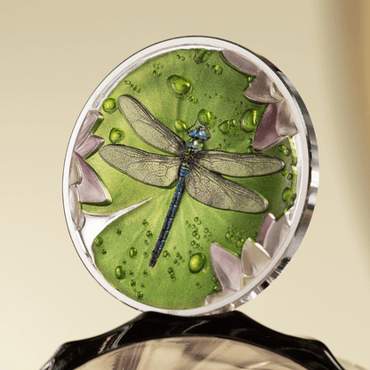 DRAGONFLY 1 Oz Silver Coin $5 Palau 2024 - PARTHAVA COIN