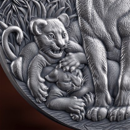 GRACE OF LIONESS Circle of Life 2 Oz Silver Coin 2000 Francs CFA Cameroon 2024 - PARTHAVA COIN