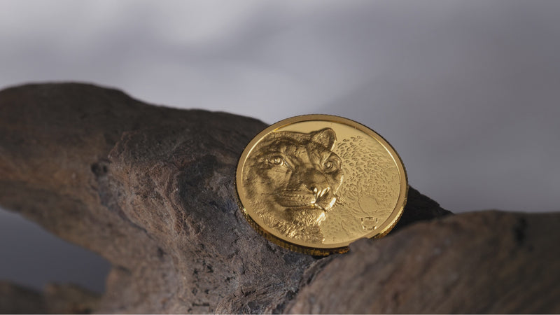モンゴル 金貨 2003 1/10 oz Gold MONGOLIA Snow Leopard Wild Mongolia 1/10 Oz Gold Coin 2024 - CIT Coin