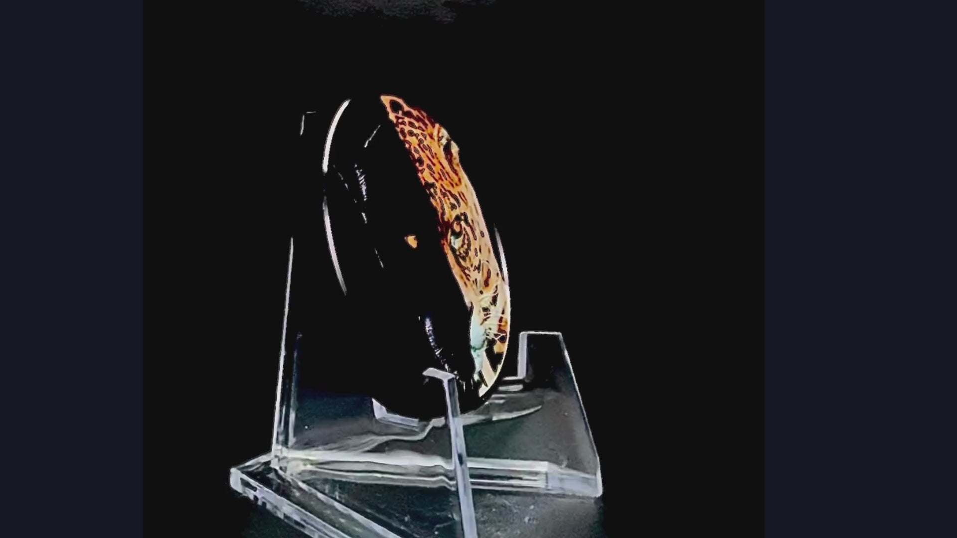 moonの宝物3 moonの宝物3 moonの宝物3 Dark Side Of The Moon - Imagine That