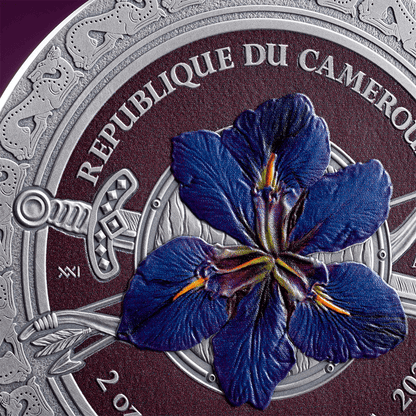 SARMATIANS Femina Bellator 2 Oz Silver Coin 2000 Francs Cameroon 2024 - PARTHAVA COIN