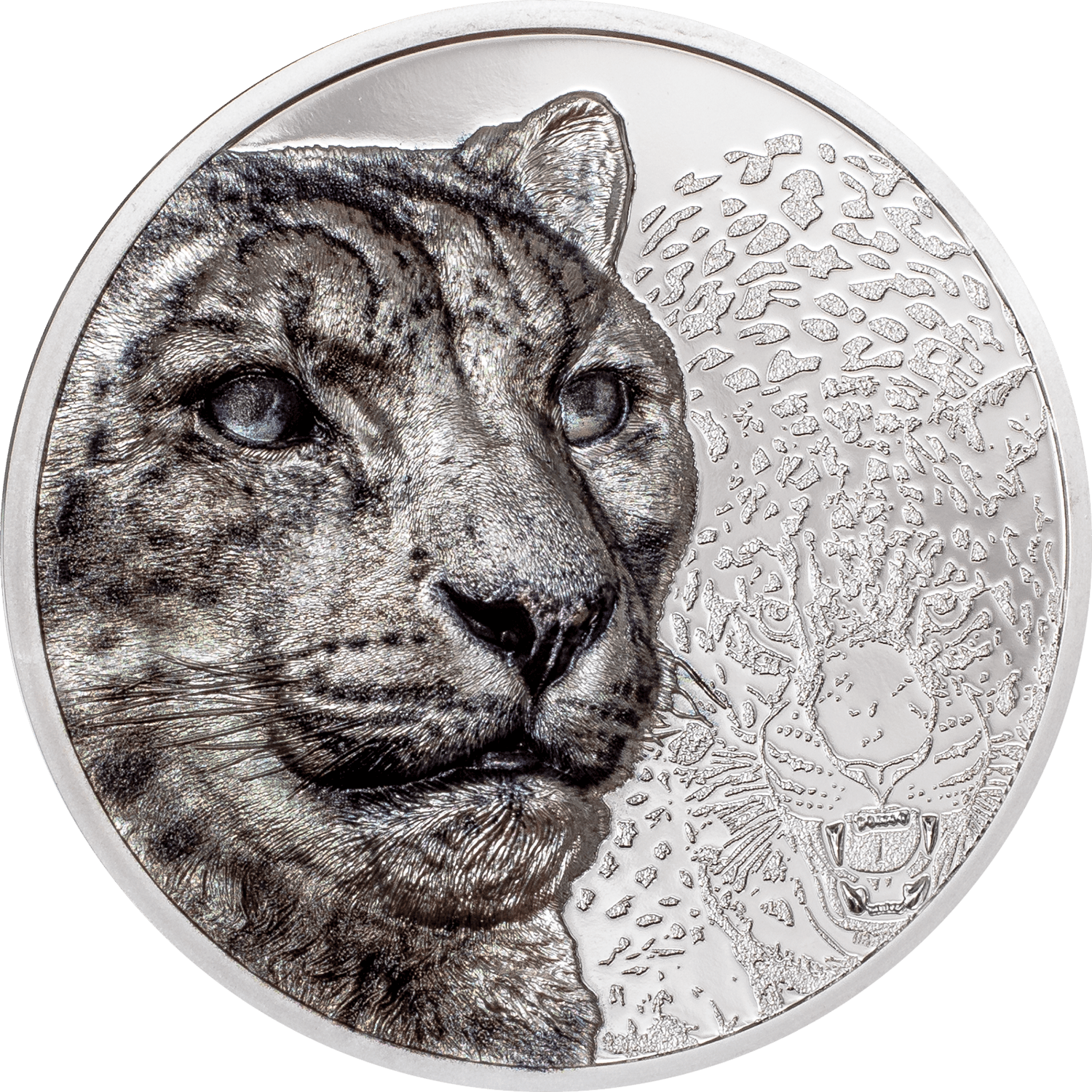 SNOW LEOPARD Wild Mongolia 3 Oz Silver Coin 2000 Togrog Mongolia 2024 - PARTHAVA COIN