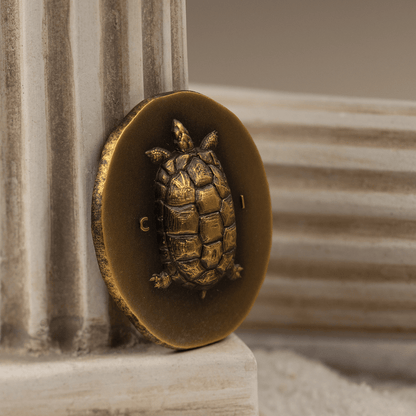 TORTOISE Numismatic Icons 1 Oz Gold Coin $250 Cook Islands 2022 - PARTHAVA COIN