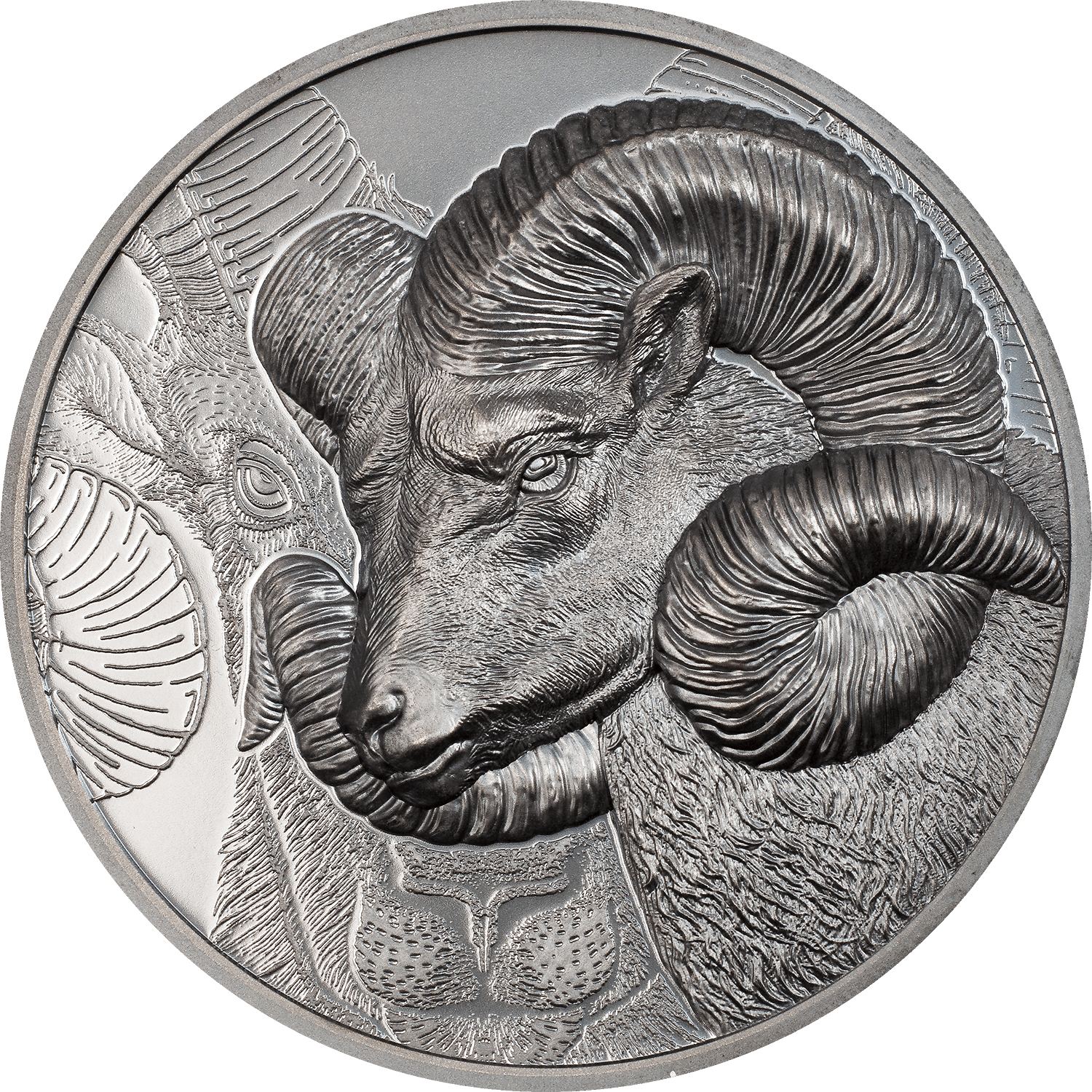 MAGNIFICENT ARGALI Ram 2 Oz Silver Coin 1000 Togrog Mongolia 2022 - PARTHAVA COIN