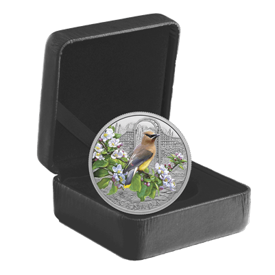 CEDAR WAXWING Colourful Birds 1 Oz Silver Coin $20 Canada 2022 - PARTHAVA COIN