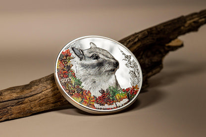 CHIPMUNK Woodland Spirit 1 Oz Silver Coin 500 Togrog Mongolia 2023 - PARTHAVA COIN